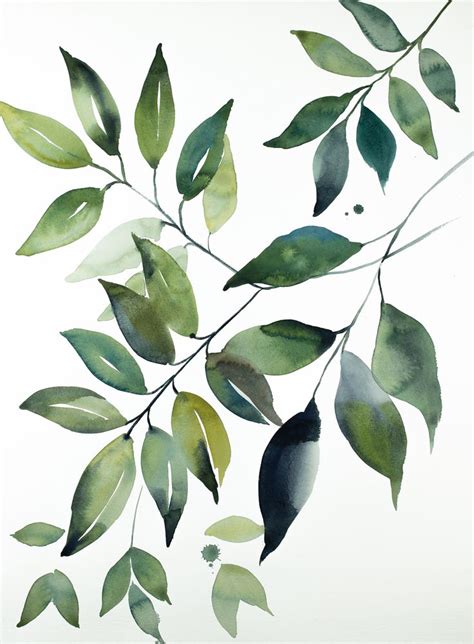 plant study no. 104 . original botanical green plant watercolor ...