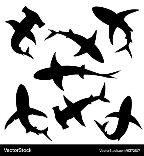 Shark Silhouette Png Clip Art Image Shark Silhouette Shark Art | The ...