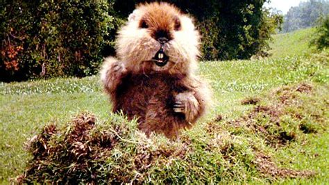 Image - Caddyshack gopher.jpg | Movie Database Wiki | FANDOM powered by ...