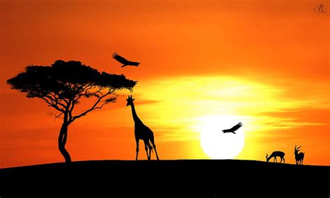 Sunset in the Savannah, 303.7 Kb, v.2.3, top ultra, savannah sunset HD ...