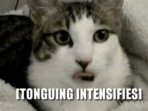 Best tongue wagging GIFs - Primo GIF - Latest Animated GIFs