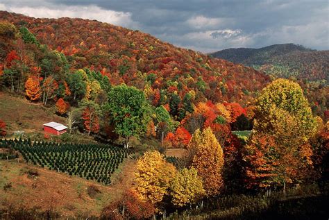 October heat could affect fall colors for leaf lookers in NC ...