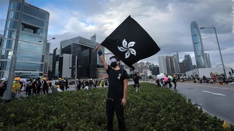 Hong Kong's flag: How the bauhinia flower became the target of protest ...