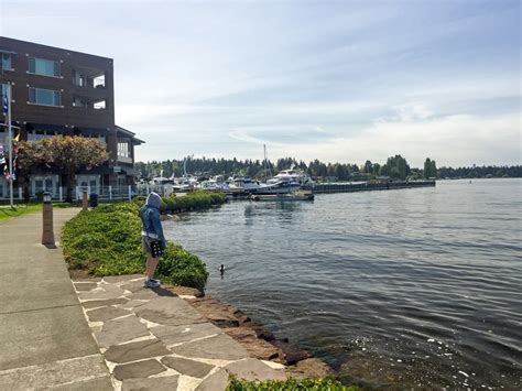 Kirkland, Washington a Fabulous Family Destination - Powered By Mom