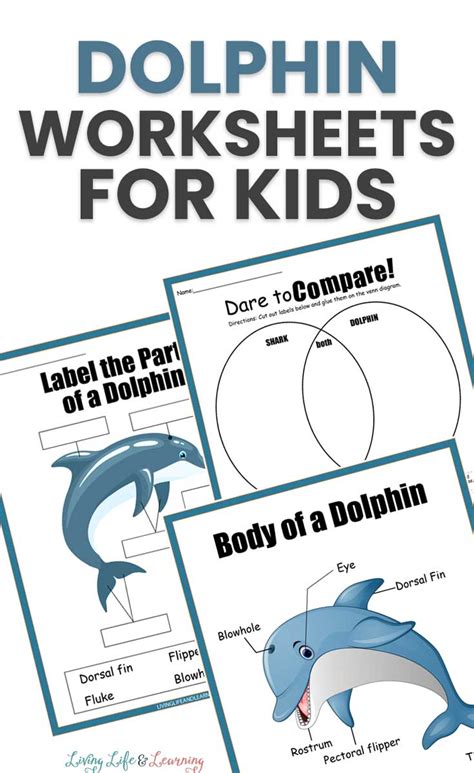 Printable Dolphin Worksheets