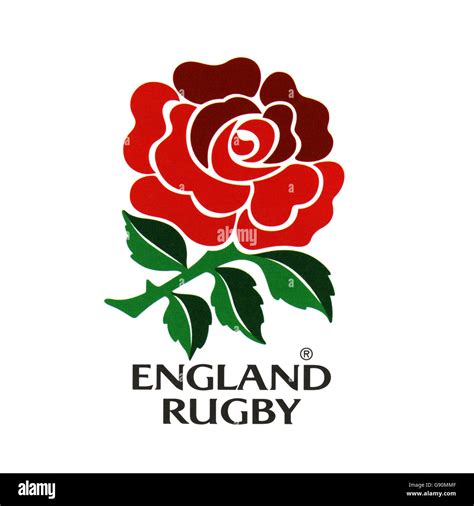 Rugby Union, England, Badge. The England Rose Stock Photo - Alamy