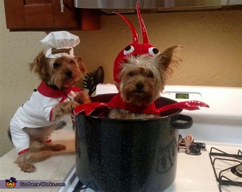 Chef and Lobster Dogs Costume | Original Halloween Costumes