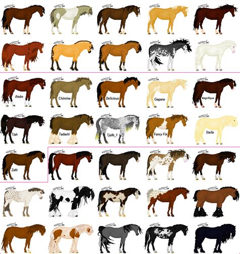 Horse coloring, Horse breeds, Horses