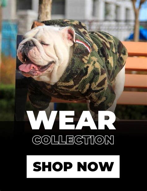 English Bulldog Shop | Place where you can find everything for Bulldogs