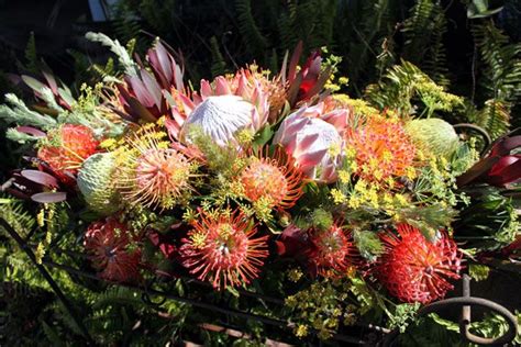 protea | PROTEA ARRANGEMENT | Protea flower, Flower arrangements ...