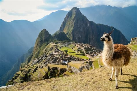 Hike Machu Picchu: Which Route Should You Choose?