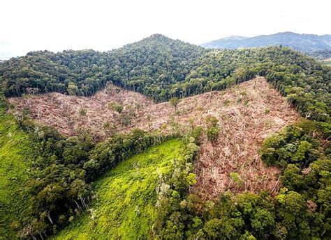 White City, Honduras-The Most Mysterious Destination for Archaeologists ...