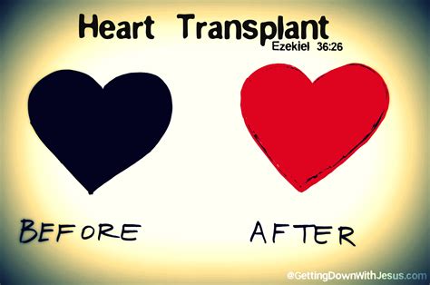 Heart Transplant - Jennifer Dukes Lee