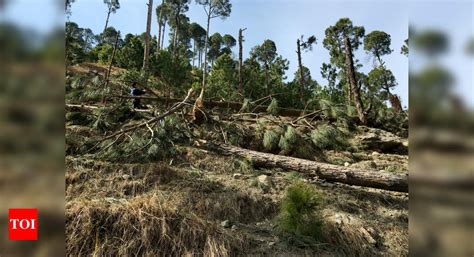 Balakot Air Strike: ‘263 terrorists at Balakot camp ahead of air strike ...