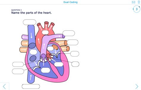 What is dual coding? 7 Powerful dual coding examples for in the ...