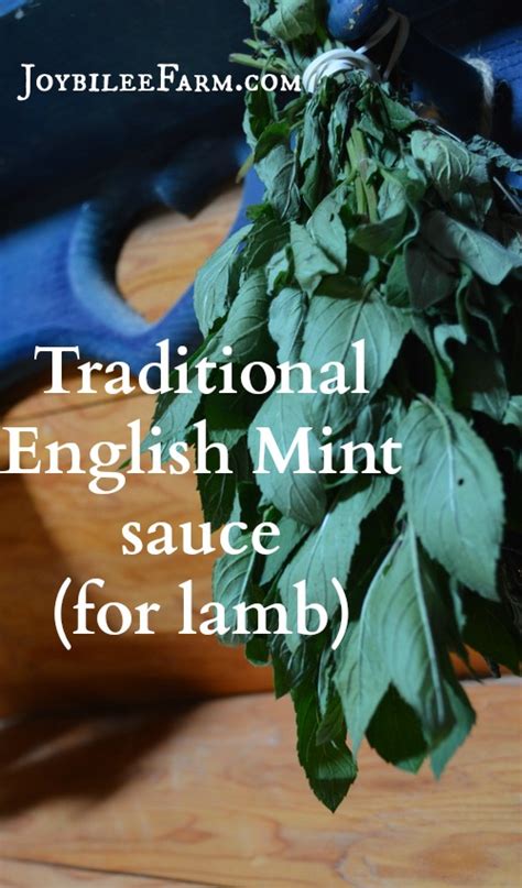 Traditional English Mint sauce for lamb