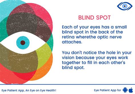 What is Blind Spot? | Eye Patient