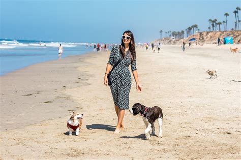 The 6 Best Off-Leash Dog Beaches in Southern California - Travel Pockets