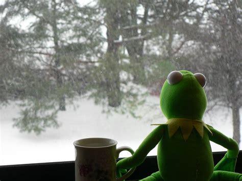 Kermit Looking Out Window Rain - ZTech