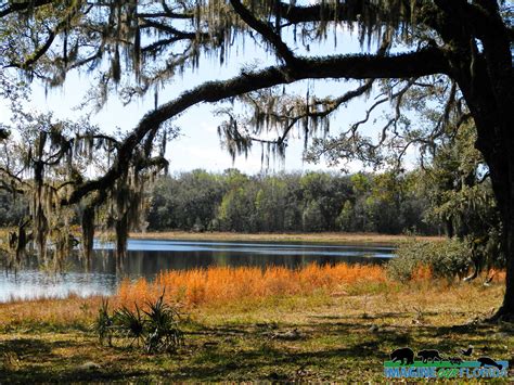 Withlacoochee State Forest – Imagine Our Florida, Inc