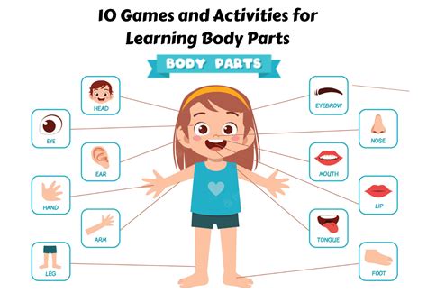 10 Games and Activities for Learning Body Parts - Teaching Expertise