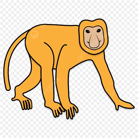 Monkey Illustration Vector Art PNG, Proboscis Monkey Illustration ...