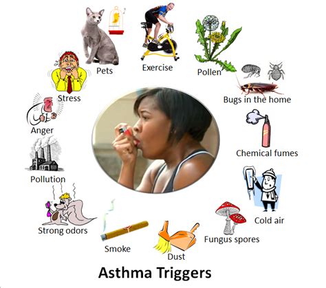 How to Reduce Asthma & Allergy Triggers in Your Home | UGA GreenWay