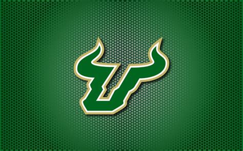 USF Football Wallpaper - WallpaperSafari