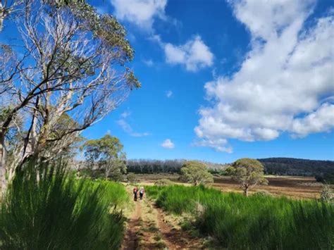 10 Best Hikes and Trails in Barrington Tops National Park | AllTrails