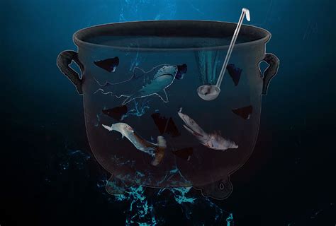 Shark Fin Soup :: Behance