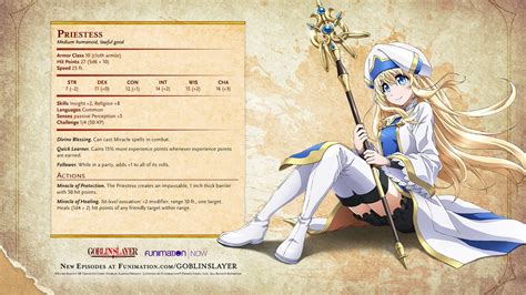 GOBLIN SLAYER Character Stats Have Been Released By Funimation