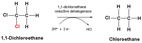 1,1 Dichloroethane - Alchetron, The Free Social Encyclopedia