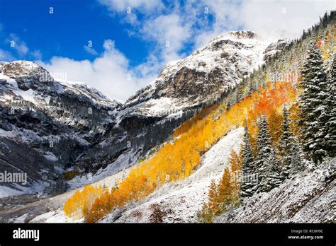 San Juan Mountains in Fall Colors and Snow, Colorado Stock Photo - Alamy