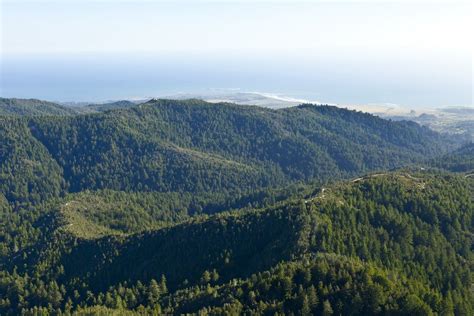 When an old dam in Santa Cruz Mountains comes down, coho will be free ...