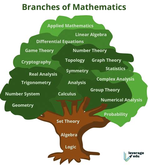 Main Branches of Mathematics Tree | PDF | Pure & Applied | Leverage Edu