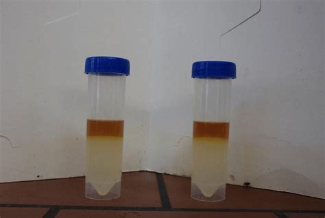 1 Separation of extract and raffinate from solvent | Download ...