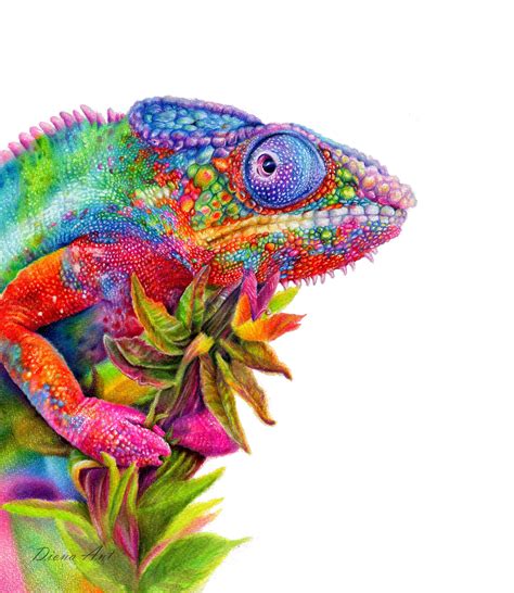 Chameleon drawing with colored pencils Animal artist Custom | Etsy