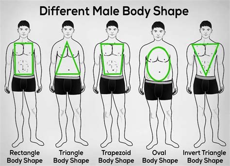 Pin by Ercilla Ferreyra on rapport | Male body shapes, Mens body types ...