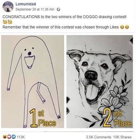 Congratulations To The Two Winners Of The DOGGO Drawing Contest - Meme ...