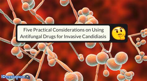 Five Practical Considerations On Using Antifungal Drugs For Invasive ...