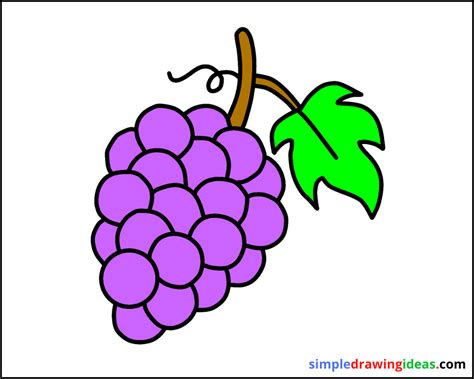 How to draw grapes step by step - Simple Drawing Ideas