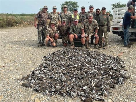 Mexico Dove Hunt | Whitewing dove hunting | Dove Hunts