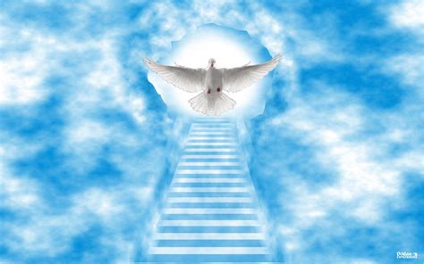 🔥 [0+] Stairway to Heaven Wallpapers | WallpaperSafari