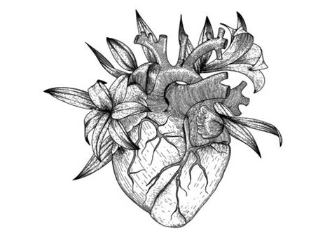 Realistic Heart Coloring Pages