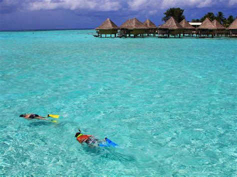 The Best Snorkeling In Bora Bora | Islands