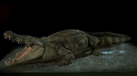 Deinosuchus Wallpapers - Wallpaper Cave