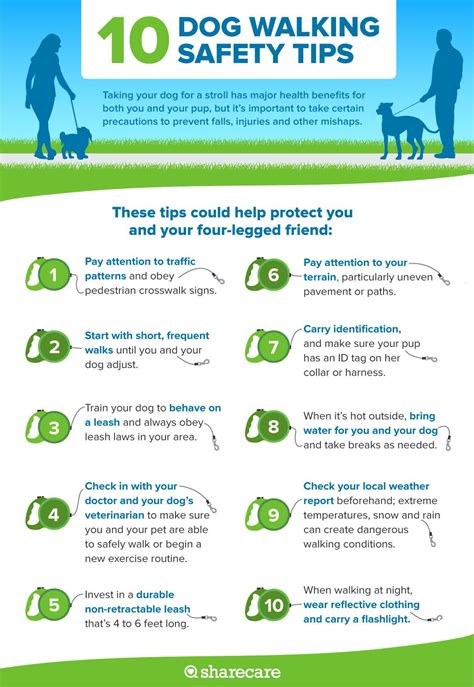 Take Fido for a stroll, but keep it safe with these great tips. Walking ...