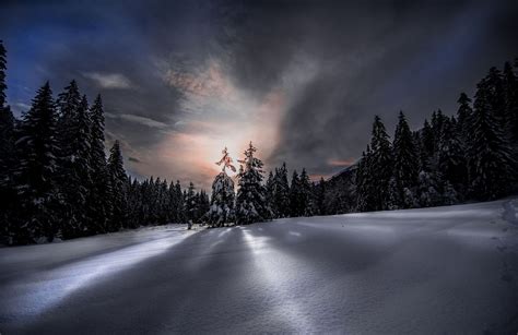 nature, Photography, Landscape, Winter, Snow, Forest, Sunset, Sunlight ...