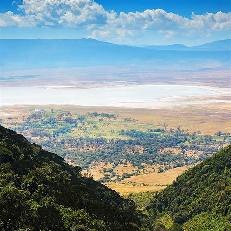 Ngorongoro Crater Safari | Paramount Safaris CA