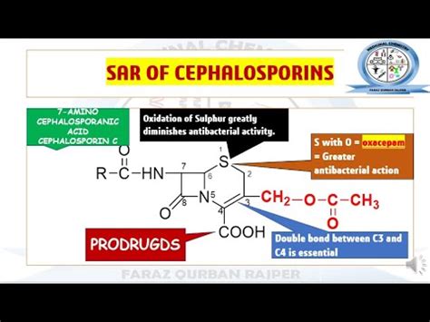 Structure Activity Relationship SAR of cephalosporin | Beta Lactam ...